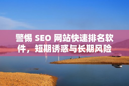 警惕 SEO 网站快速排名软件，短期诱惑与长期风险