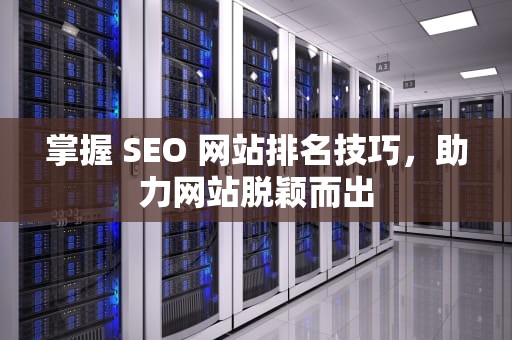 掌握 SEO 网站排名技巧，助力网站脱颖而出