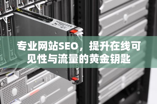 专业网站SEO，提升在线可见性与流量的黄金钥匙