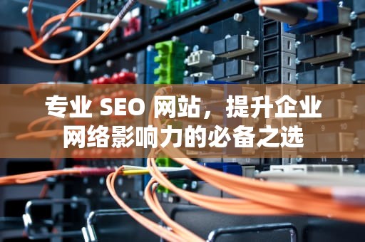 专业 SEO 网站，提升企业网络影响力的必备之选