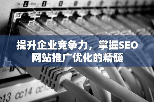 提升企业竞争力，掌握SEO网站推广优化的精髓