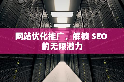 网站优化推广，解锁 SEO 的无限潜力