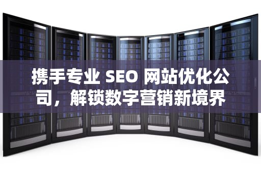 携手专业 SEO 网站优化公司，解锁数字营销新境界