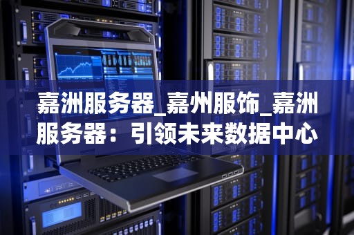 嘉洲服务器_嘉州服饰_嘉洲服务器：引领未来数据中心的关键技术