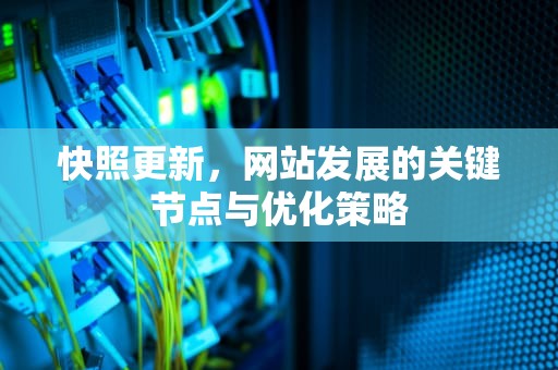 快照更新，网站发展的关键节点与优化策略