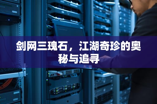 剑网三瑰石，江湖奇珍的奥秘与追寻