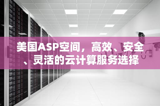 美国ASP空间，高效、安全、灵活的云计算服务选择