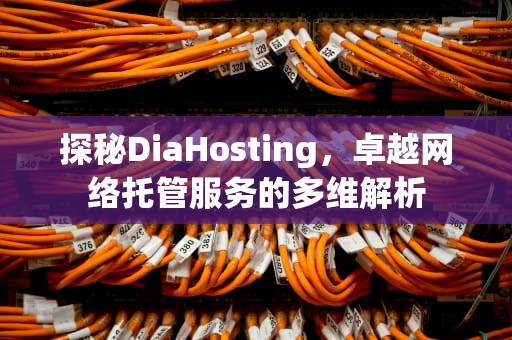 探秘DiaHosting，卓越网络托管服务的多维解析