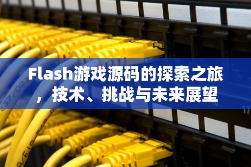 Flash游戏源码的探索之旅，技术、挑战与未来展望