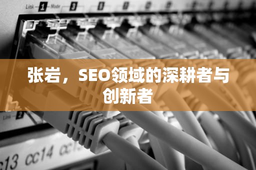 张岩，SEO领域的深耕者与创新者