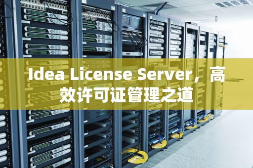 Idea License Server，高效许可证管理之道