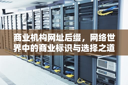 商业机构网址后缀，网络世界中的商业标识与选择之道