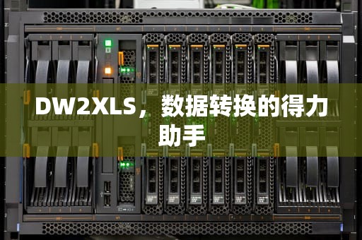 DW2XLS，数据转换的得力助手