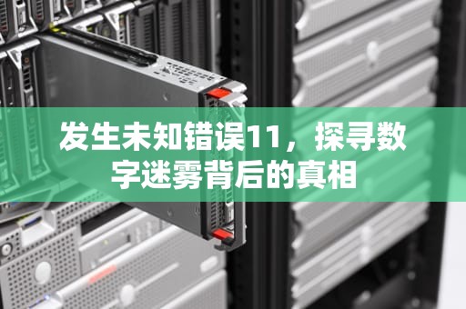 发生未知错误11，探寻数字迷雾背后的真相