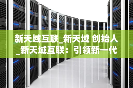 新天域互联_新天域 创始人_新天域互联：引领新一代互联网技术的创新与发展