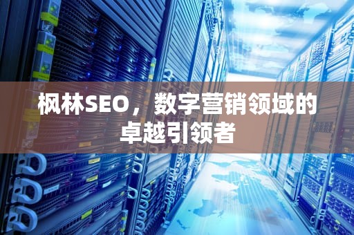 枫林SEO，数字营销领域的卓越引领者