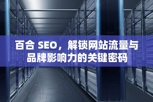 百合 SEO，解锁网站流量与品牌影响力的关键密码