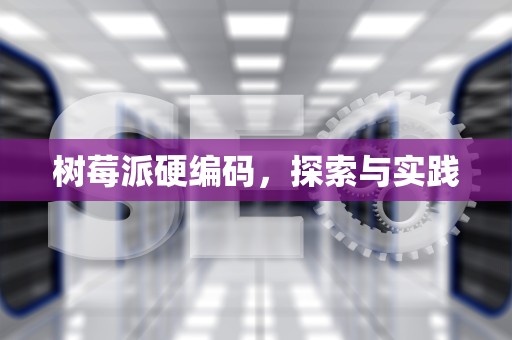 树莓派硬编码，探索与实践