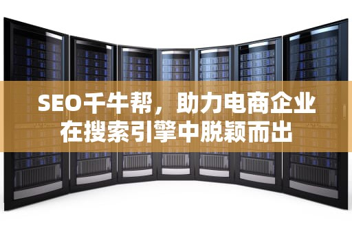 SEO千牛帮，助力电商企业在搜索引擎中脱颖而出