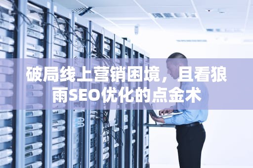 破局线上营销困境，且看狼雨SEO优化的点金术