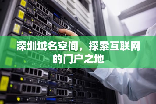 深圳域名空间，探索互联网的门户之地