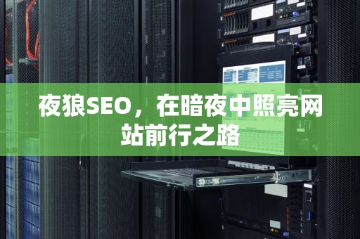 夜狼SEO，在暗夜中照亮网站前行之路