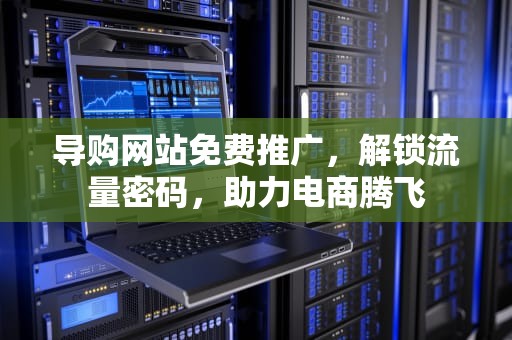 导购网站免费推广，解锁流量密码，助力电商腾飞
