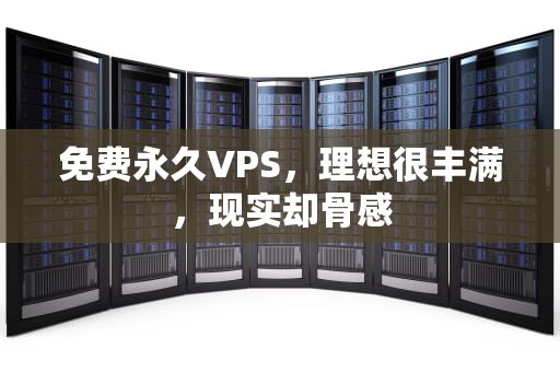 免费永久VPS，理想很丰满，现实却骨感