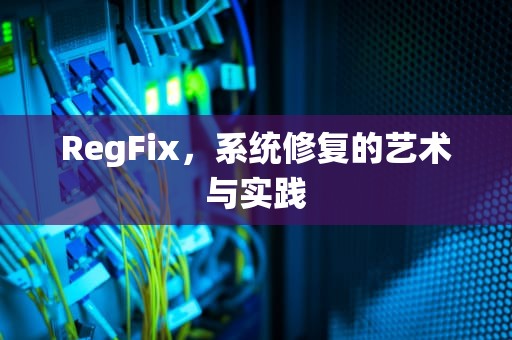 RegFix，系统修复的艺术与实践