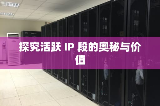 探究活跃 IP 段的奥秘与价值
