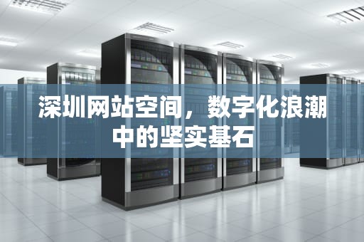 深圳网站空间，数字化浪潮中的坚实基石