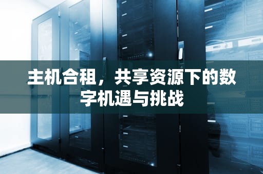 主机合租，共享资源下的数字机遇与挑战