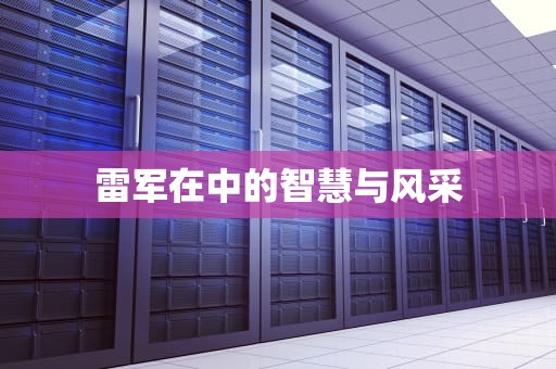 雷军在中的智慧与风采