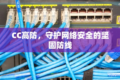CC高防，守护网络安全的坚固防线