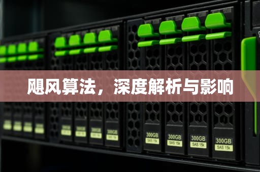 飓风算法，深度解析与影响