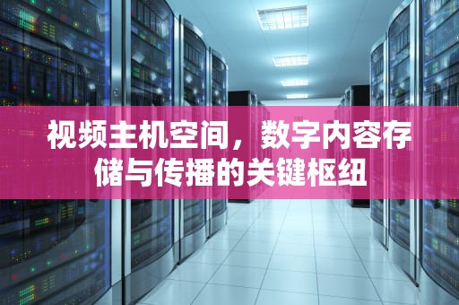 视频主机空间，数字内容存储与传播的关键枢纽