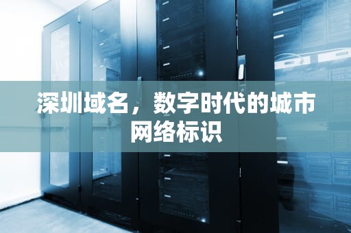 深圳域名，数字时代的城市网络标识