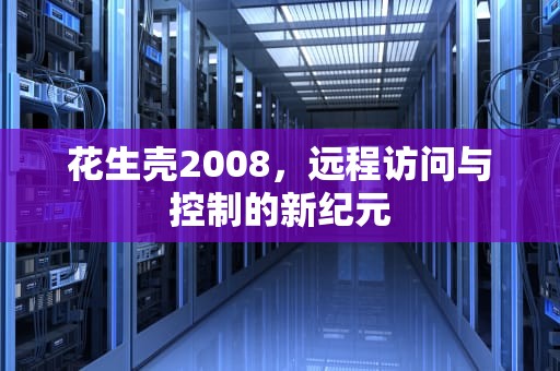 花生壳2008，远程访问与控制的新纪元