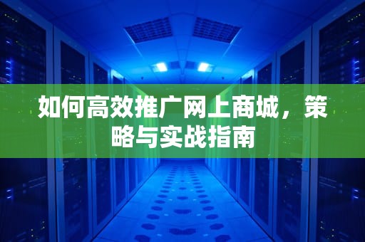 如何高效推广网上商城，策略与实战指南