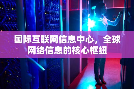 国际互联网信息中心，全球网络信息的核心枢纽