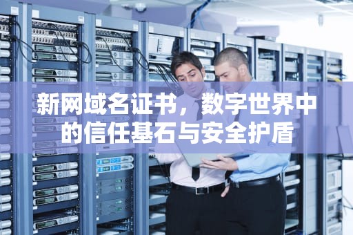 新网域名证书，数字世界中的信任基石与安全护盾