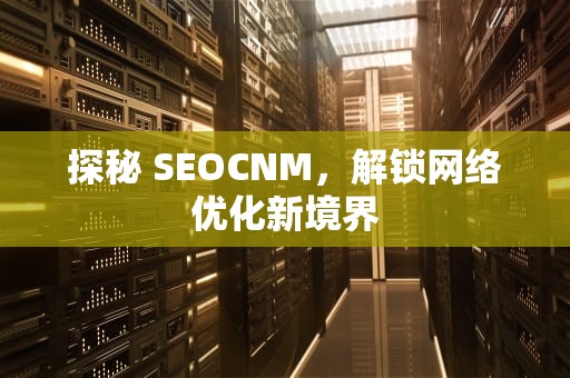 探秘 SEOCNM，解锁网络优化新境界