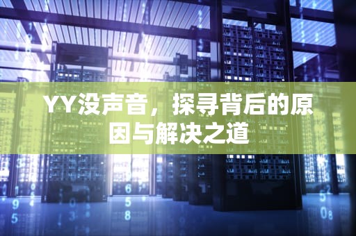 YY没声音，探寻背后的原因与解决之道