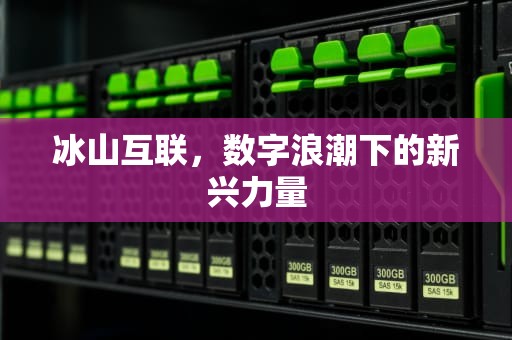 冰山互联，数字浪潮下的新兴力量