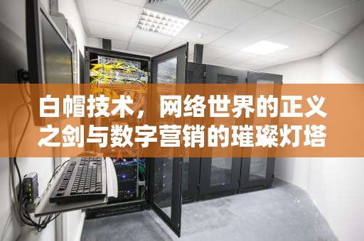 白帽技术，网络世界的正义之剑与数字营销的璀璨灯塔