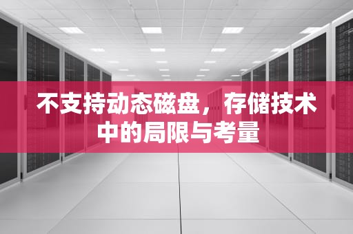 不支持动态磁盘，存储技术中的局限与考量