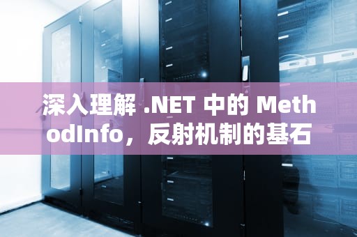 深入理解 .NET 中的 MethodInfo，反射机制的基石