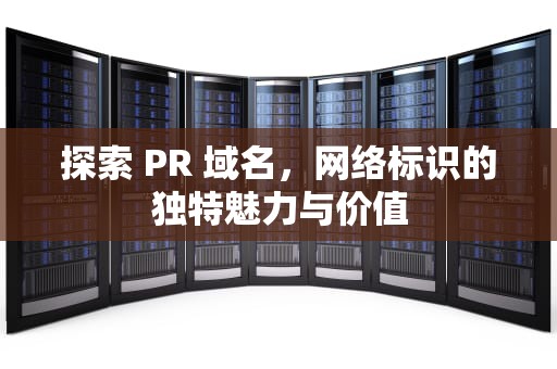 探索 PR 域名，网络标识的独特魅力与价值
