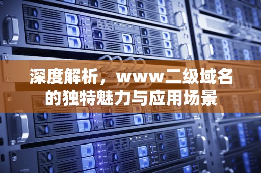 深度解析，www二级域名的独特魅力与应用场景