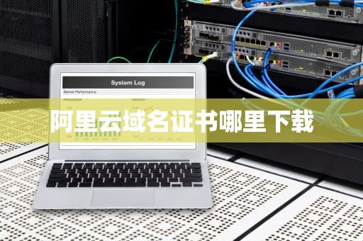 阿里云域名证书哪里下载
